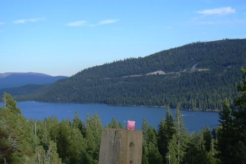 2003-0813-pig-donner-lake-vista-point-nv.jpg