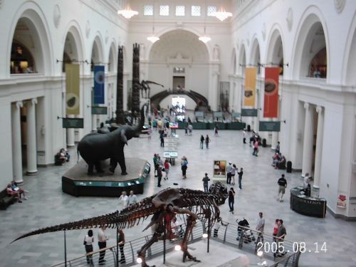 2005-0814-field-museum-interior.jpg