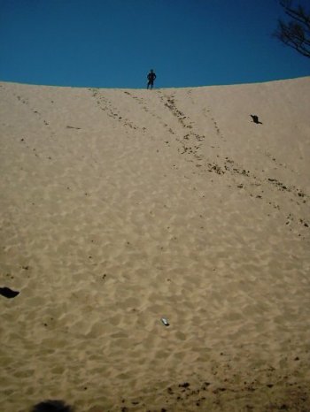 2005-0815-dune-top.jpg