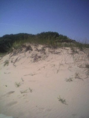 2005-0815-dunes-with-grass.jpg
