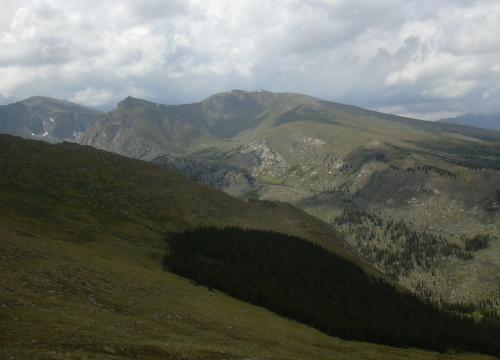 2003-0816-denver-mt-evans-treeline.jpg