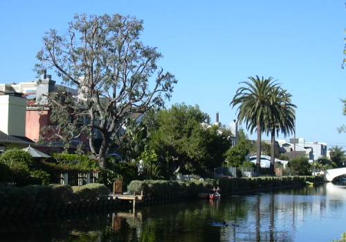 2003-0810-venice-canal-trees-los-angeles.jpg